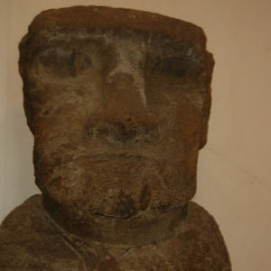 Meet your Posher, Nicholas